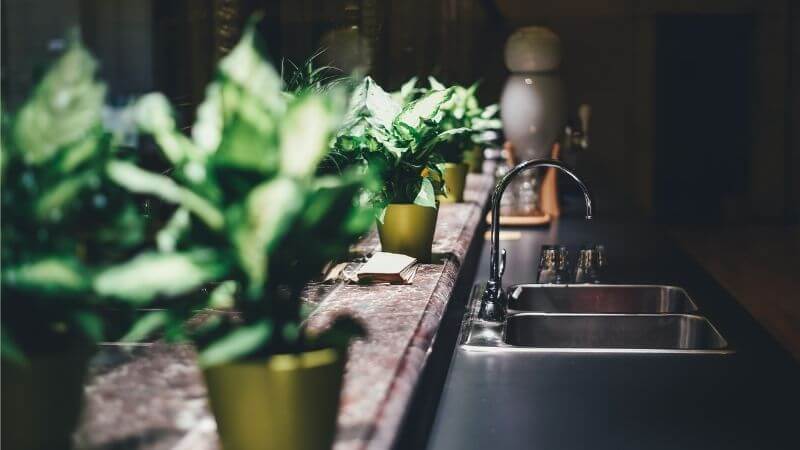 decoración de cocina con plantas